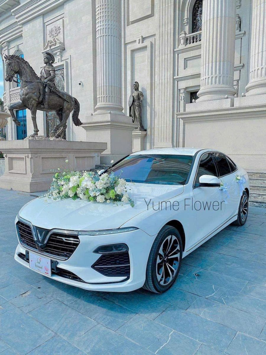 Dịch vụ cho thuê xe chất lượng tại Vinh